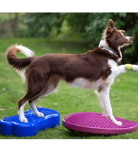 FitPAWS Balancierscheibe K9FITbone PVC Himmelblau