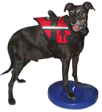 FitPAWS Balance-Scheibe für Haustiere 36 cm Blau