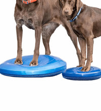 FitPAWS Balance-Scheibe für Haustiere 36 cm Blau