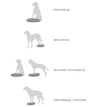 FitPAWS Balance-Scheibe für Haustiere 36 cm Blau