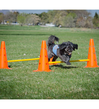 FitPAWS Hundesport-Set