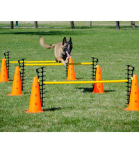 FitPAWS Hundesport-Set