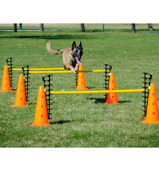 FitPAWS Hundesport-Set