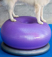 FitPAWS Donuthalter 63 cm Grau