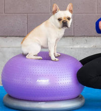 FitPAWS Fitnessball für Hunde TRAX Donut 55 cm Lila