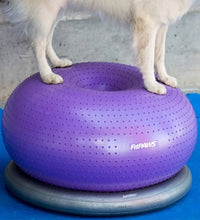 FitPAWS Fitnessball für Hunde TRAX Donut 55 cm Lila