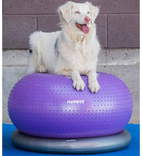 FitPAWS Fitnessball für Hunde TRAX Donut 55 cm Lila