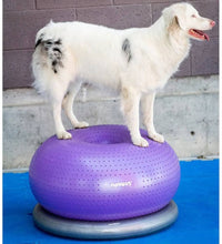 FitPAWS Fitnessball für Hunde TRAX Donut 55 cm Lila