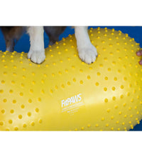 FitPAWS Balance-Kissen für Hunde Trax Peanut 40 cm Gelb