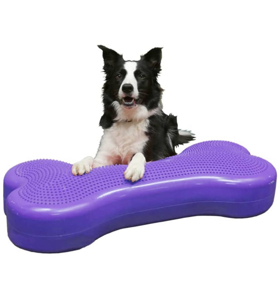 FitPAWS Haustier-Balancierscheibe Giant K9FITbone PVC Lila