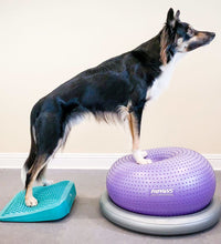 FitPAWS Balance-Rampe für Hautiere 35x35x7 cm Blau