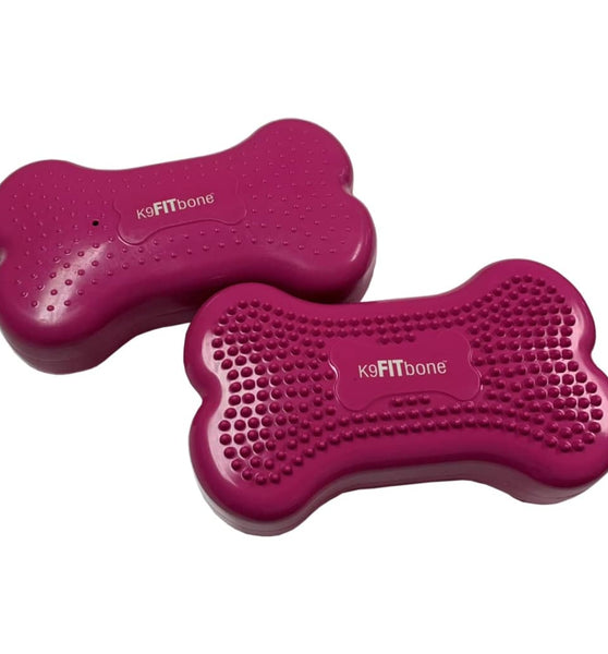 FitPAWS Gleichgewichtstrainer Mini K9FITbone 2 Stk. 29x16,5x6 cm