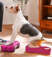 FitPAWS Gleichgewichtstrainer Mini K9FITbone 2 Stk. 29x16,5x6 cm