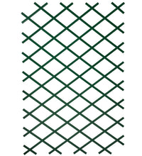 Nature Garten-Rankgitter 100x200 cm PVC Grün 6040704