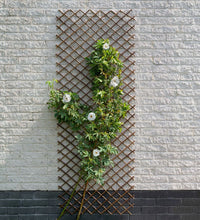 Garten-Rankgitter 30x180 cm Natur Weide Braun