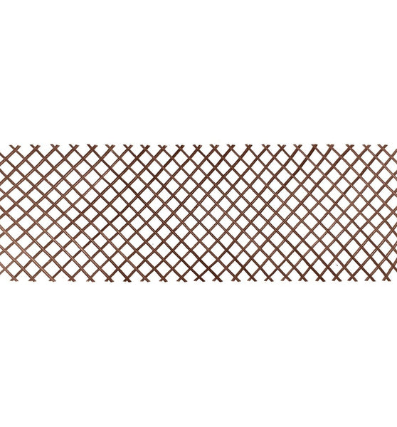 Garten-Rankgitter 60x180 cm Natur Weide Braun