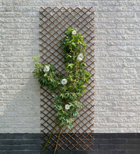 Garten-Rankgitter 60x180 cm Natur Weide Braun