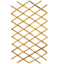 Garten Gitter 70x180 cm Bambus 6040721