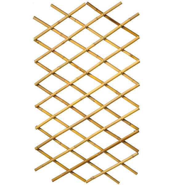 Garten Gitter 70x180 cm Bambus 6040721