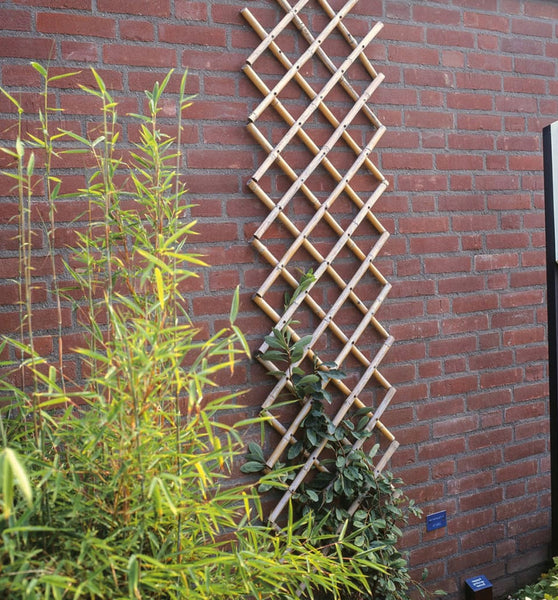 Garten Gitter 70x180 cm Bambus 6040721