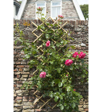 Garten Gitter 70x180 cm Bambus 6040721