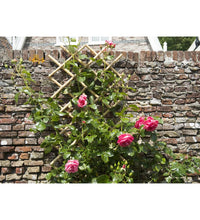 Garten Gitter 70x180 cm Bambus 6040721
