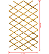 Garten Gitter 70x180 cm Bambus 6040721