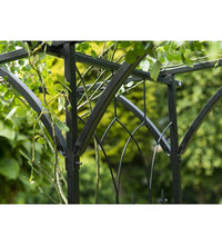 Gartenbogen Metall 114x66x232 cm Schwarz