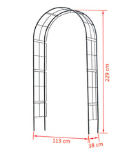 Nature Gartenbogen Metall 229x38x113 cm Schwarz