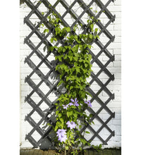 Garten-Rankgitter 50x150 cm Holz Anthrazit