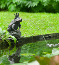 Ubbink Wasserspeier Froschkönig