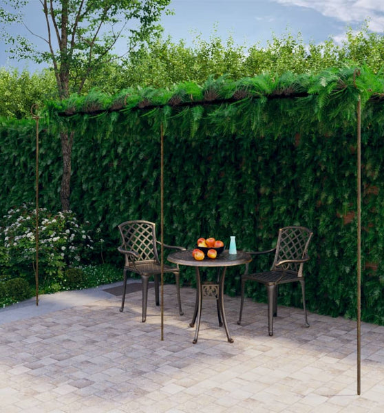 Garten-Pergola Antik-Braun 6x3x2,5 m Eisen