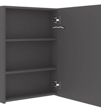 LED-Spiegelschrank fürs Bad Grau 50x13x70 cm