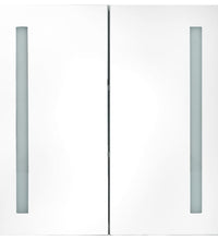 LED-Spiegelschrank fürs Bad Grau 62x14x60 cm