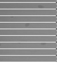 7-tlg. Garten-Lounge-Set Grau Massivholz Kiefer