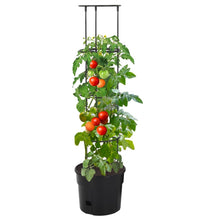 Tomatentopf Anthrazit Ø29,5x115 cm Polypropylen