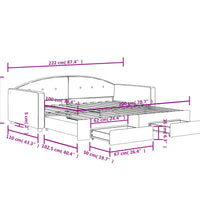 Tagesbett Ausziehbar mit Schubladen Rosa 100x200 cm Samt