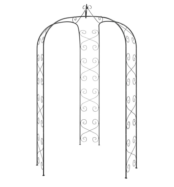 Gartenbogen Schwarz Ø180x255 cm Stahl