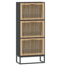 Schuhschrank Schwarz 52x25x120 cm Holzwerkstoff