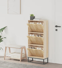 Schuhschrank 52x25x120 cm Holzwerkstoff