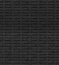 2-tlg. Garten-Lounge-Set mit Kissen Schwarz Poly Rattan