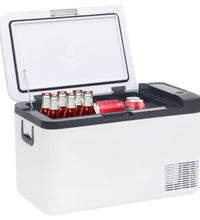 Kühlbox mit Griff und Adapter Schwarz und Weiß 18 L PP & PE