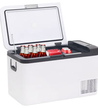 Kühlbox mit Griff und Adapter Schwarz und Weiß 25 L PP & PE