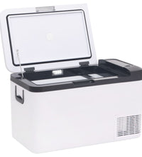 Kühlbox mit Griff und Adapter Schwarz und Weiß 25 L PP & PE