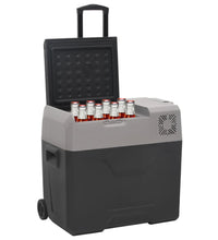 Kühlbox mit Rollen und Adapter Schwarz & Grau 30 L Polypropylen