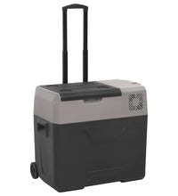 Kühlbox mit Rollen und Adapter Schwarz & Grau 40 L Polypropylen