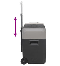 Kühlbox mit Rollen und Adapter Schwarz & Grau 40 L Polypropylen