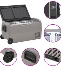Kühlbox mit Rollen und Adapter Schwarz & Grau 36 L PP & PE