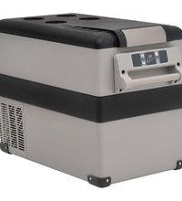 Kühlbox mit Griff und Adapter Schwarz und Grau 55 L PP & PE