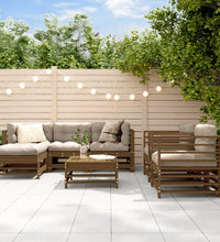 7-tlg. Garten-Lounge-Set mit Kissen Honigbraun Massivholz